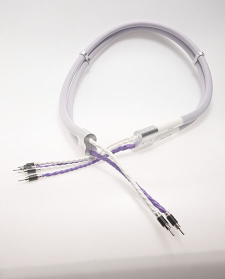 Live Cable - SPC LS Cable